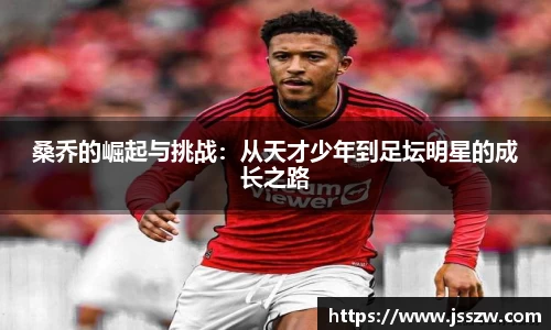 ng电子游戏官网